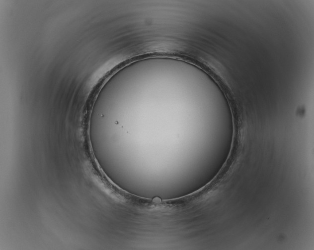 X0000111831026200907301315