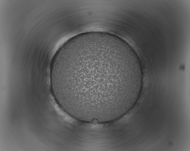 X0000111831030200907301315