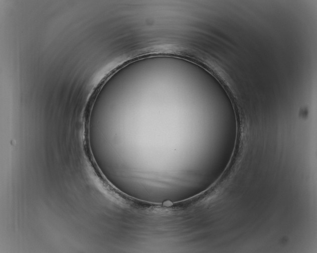 X0000111831034200907301315