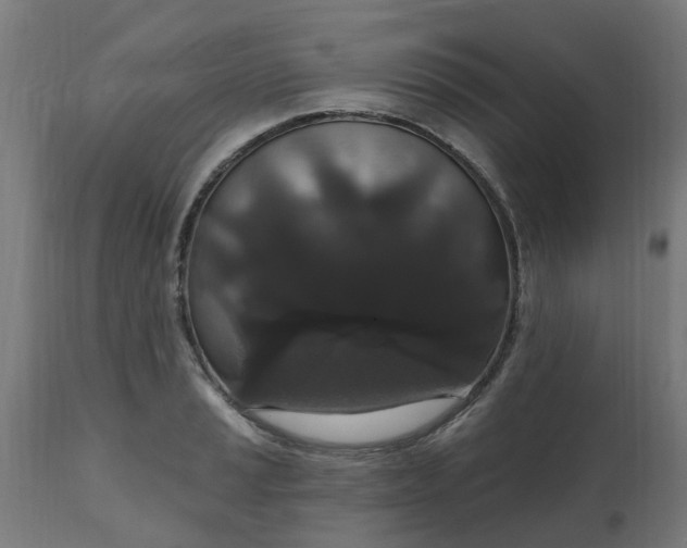 X0000111831037200907301315