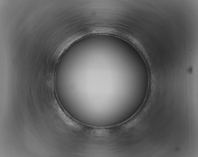 X0000111831041200907301315