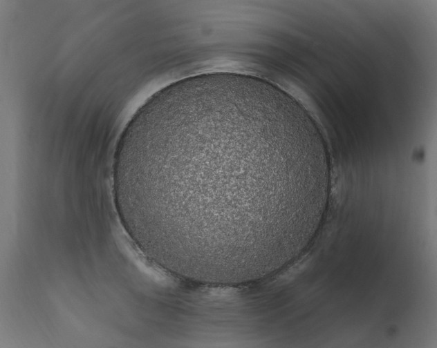 X0000111831043200907301315