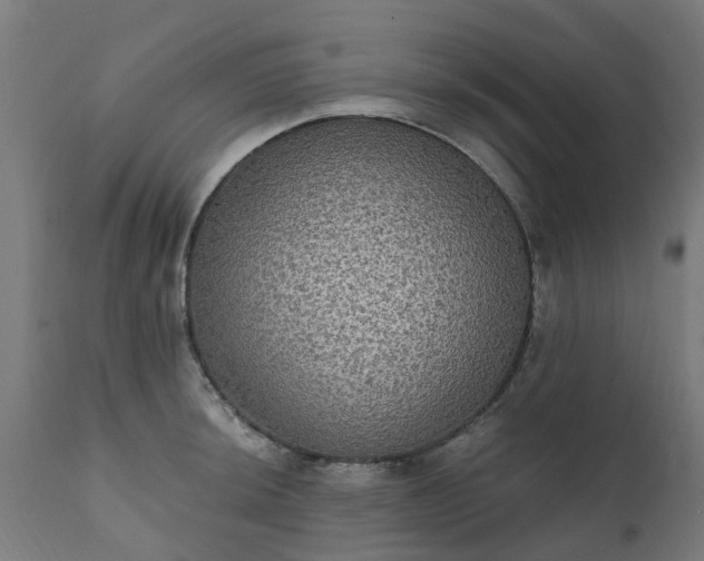 X0000111831044200907301315