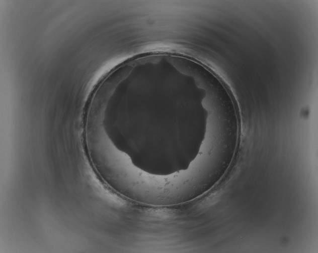 X0000111831045200907301315