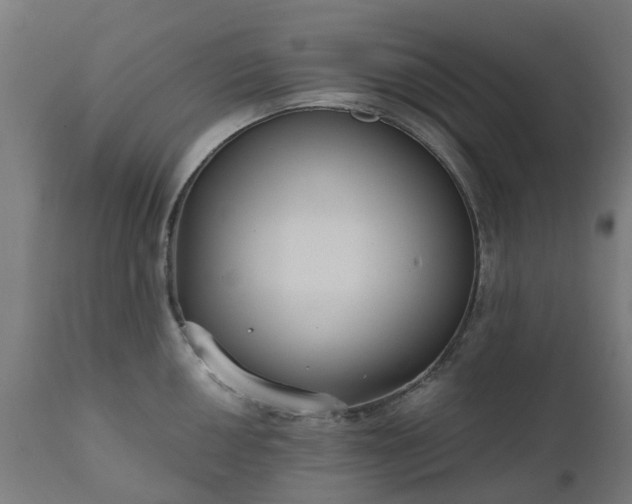 X0000111831050200907301315