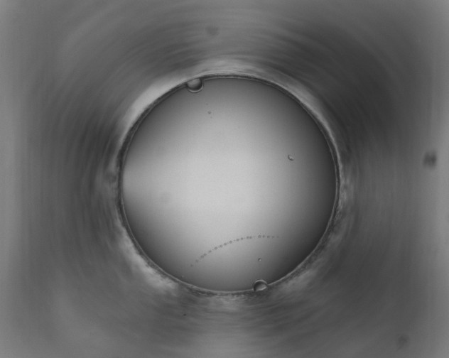 X0000111831053200907301315