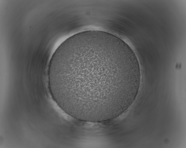 X0000111831056200907301315