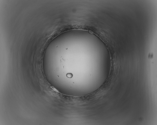 X0000111831057200907301314