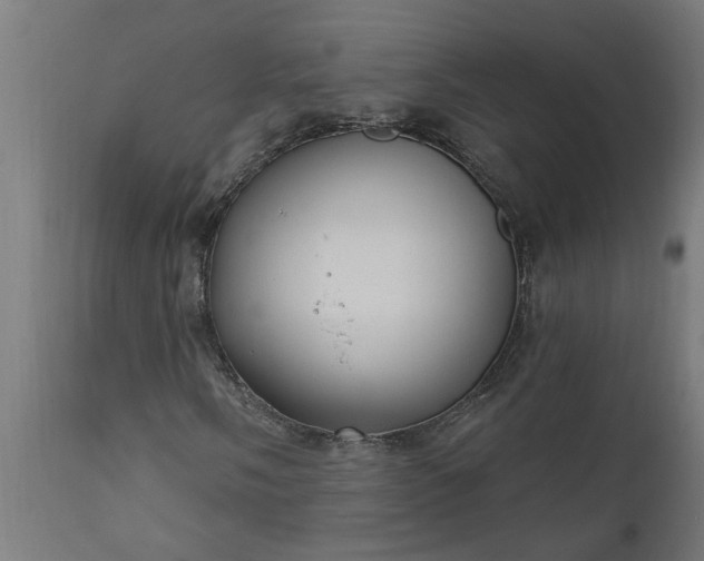 X0000111831058200907301314