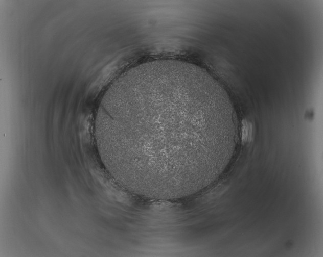 X0000111831059200907301314