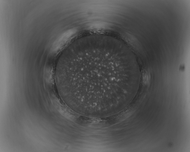 X0000111831060200907301314