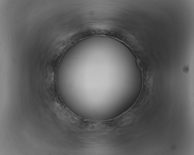 X0000111831061200907301314