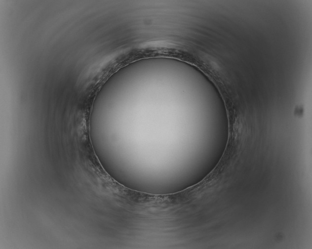 X0000111831062200907301314