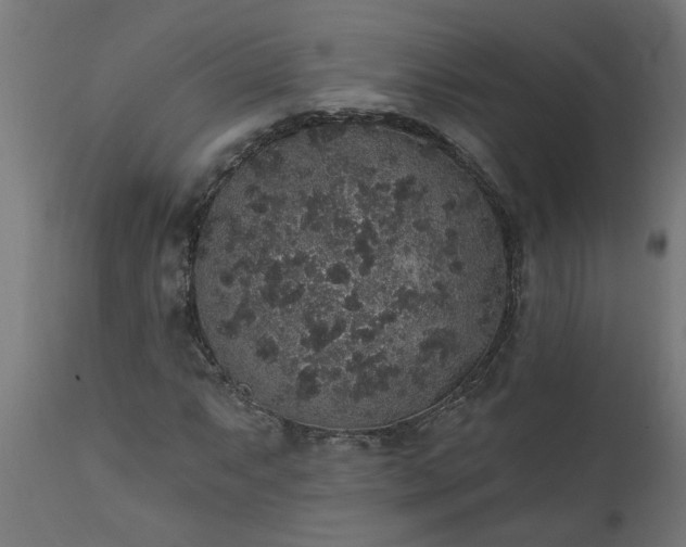 X0000111831063200907301314