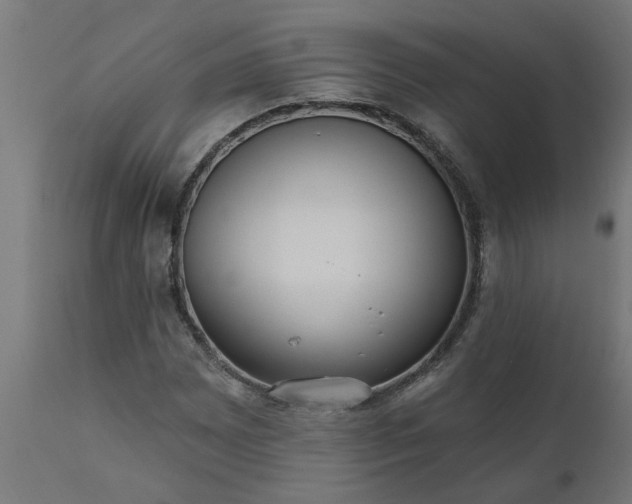 X0000111831065200907301314