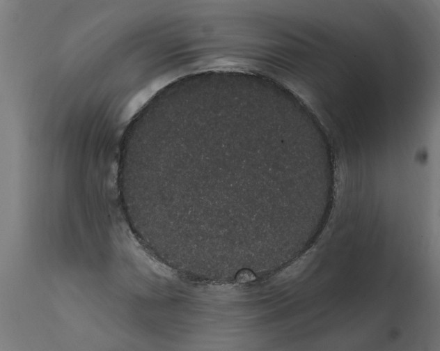 X0000111831066200907301314