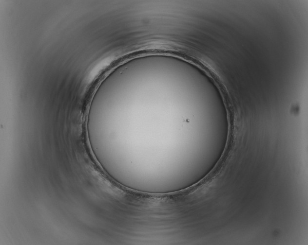 X0000111831067200907301314