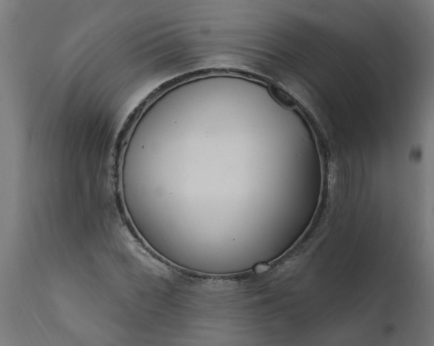 X0000111831068200907301314