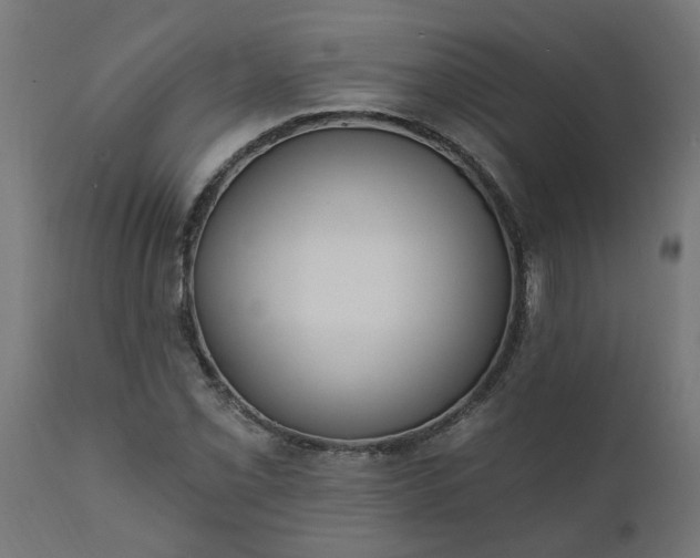 X0000111831069200907301314