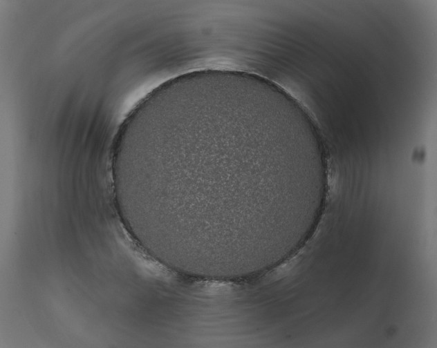 X0000111831070200907301314