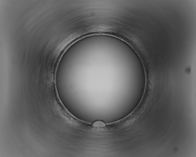 X0000111831073200907301314