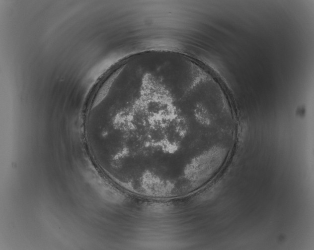 X0000111831074200907301314