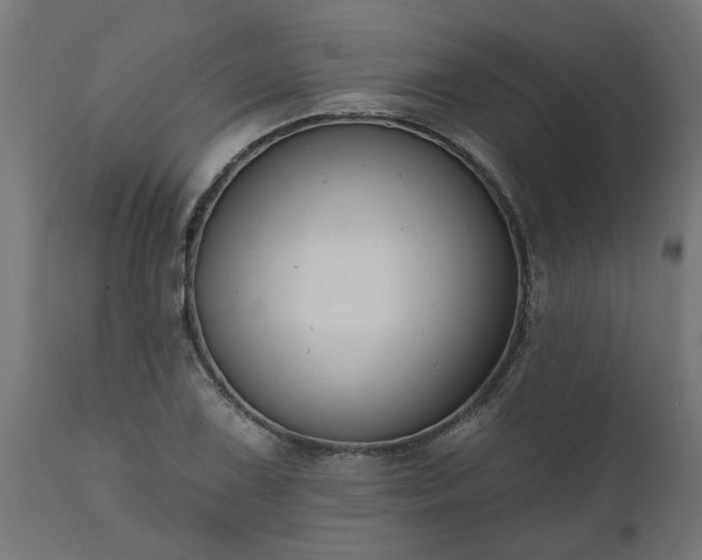 X0000111831075200907301314