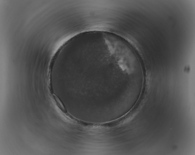 X0000111831077200907301314