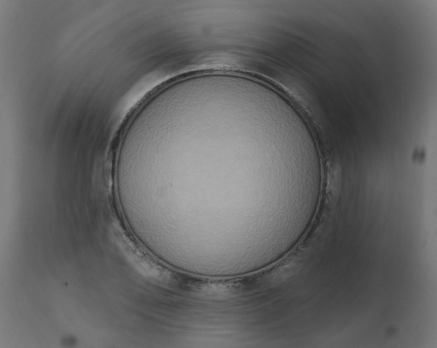X0000111831078200907301314