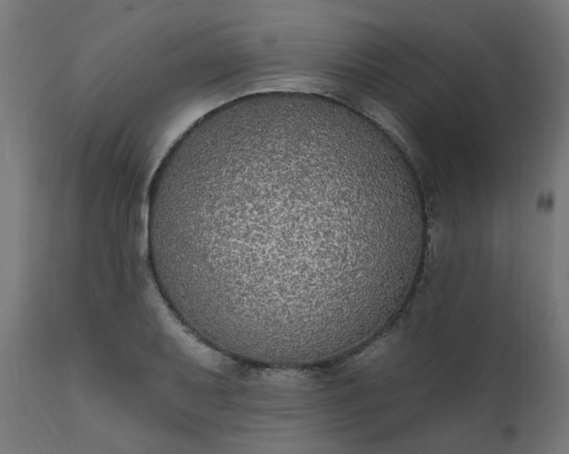 X0000111831079200907301314