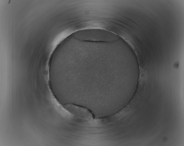 X0000111831080200907301314