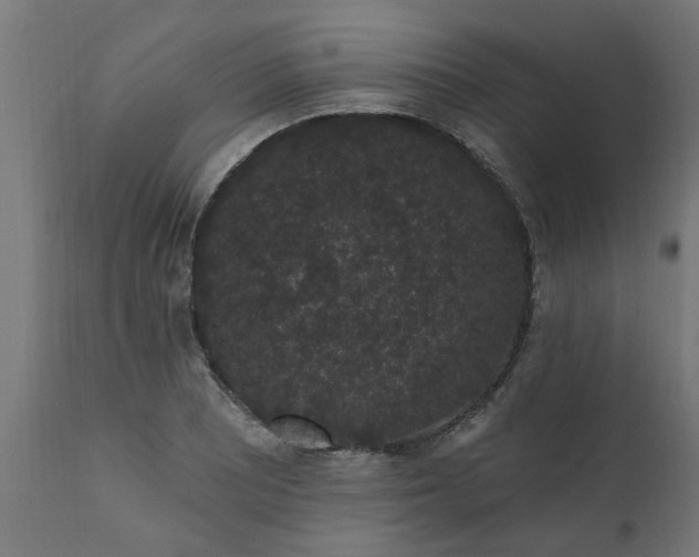 X0000111831081200907301314