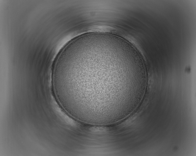 X0000111831083200907301314