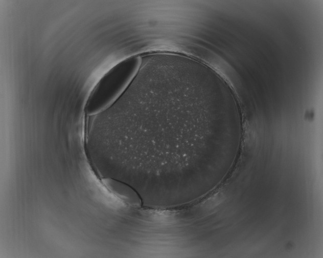 X0000111831084200907301314