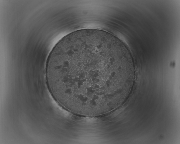 X0000111831087200907301314