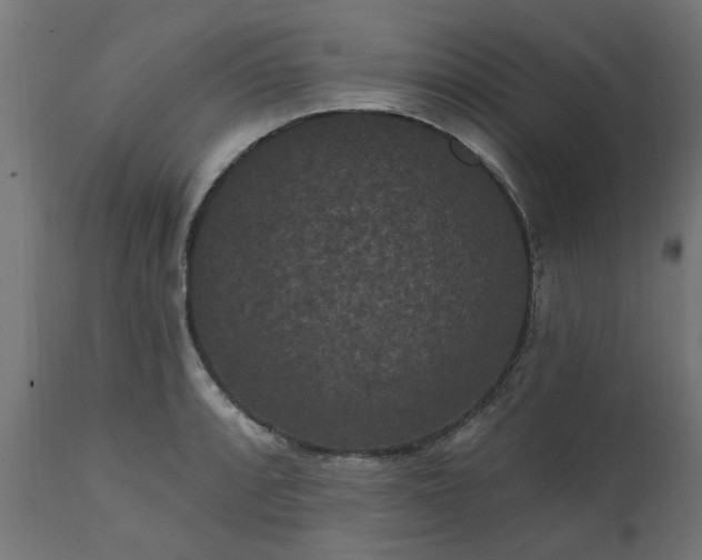 X0000111831088200907301314