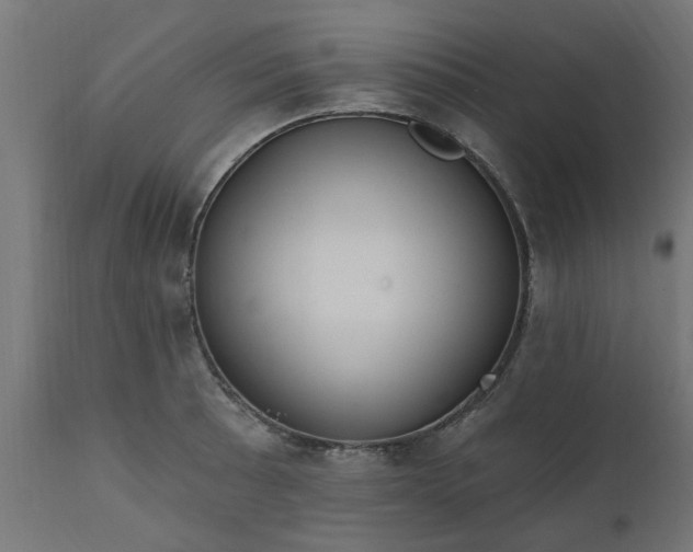 X0000111831089200907301314