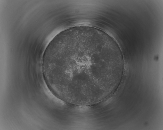 X0000111831090200907301314