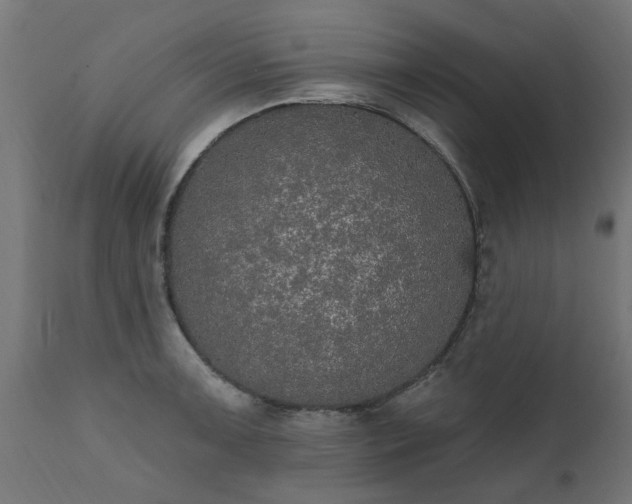 X0000111831091200907301314