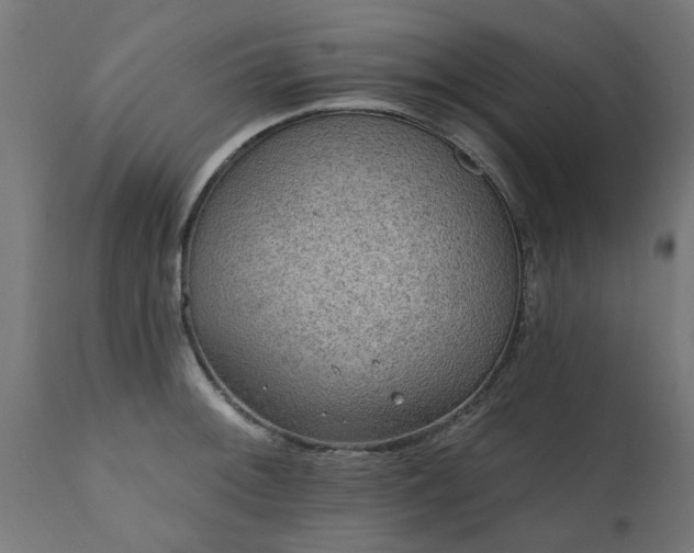X0000111831092200907301314