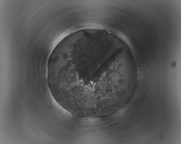 X0000111831095200907301314