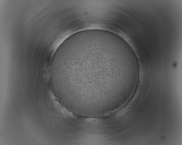 X0000111831097200907301314