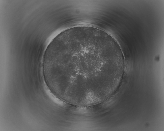X0000111831098200907301314