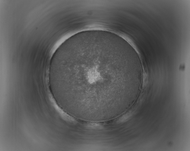 X0000111831101200907301314
