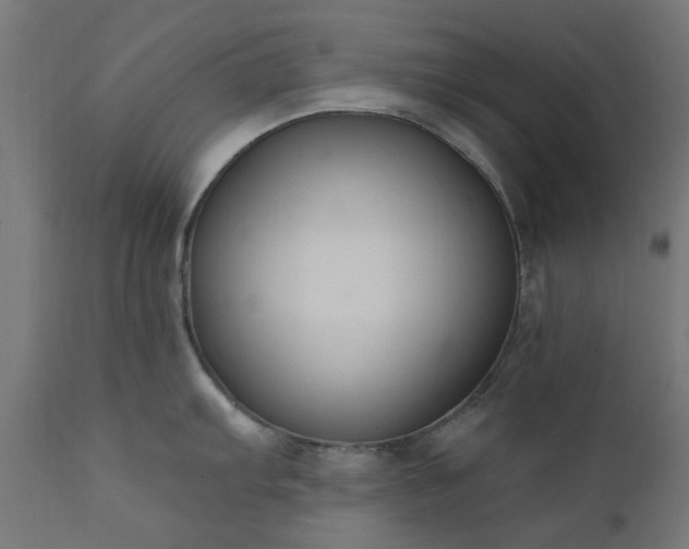 X0000111831103200907301314