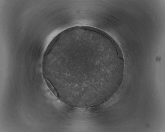 X0000111831104200907301314