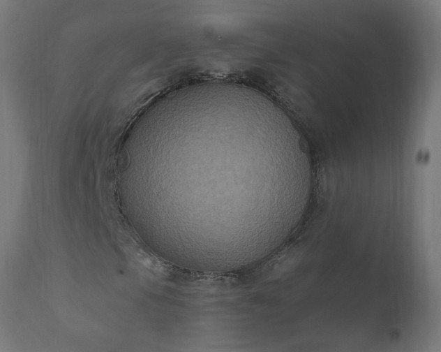 X0000111831105200907301313