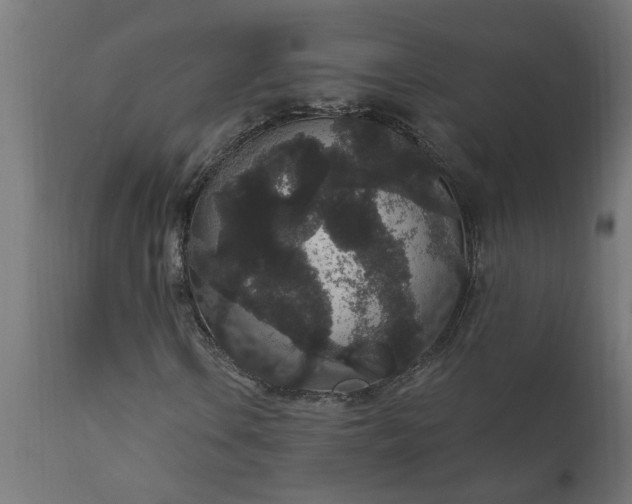 X0000111831106200907301313