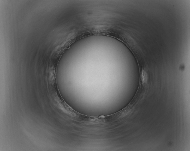 X0000111831107200907301313