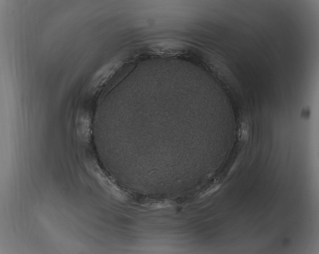 X0000111831108200907301313